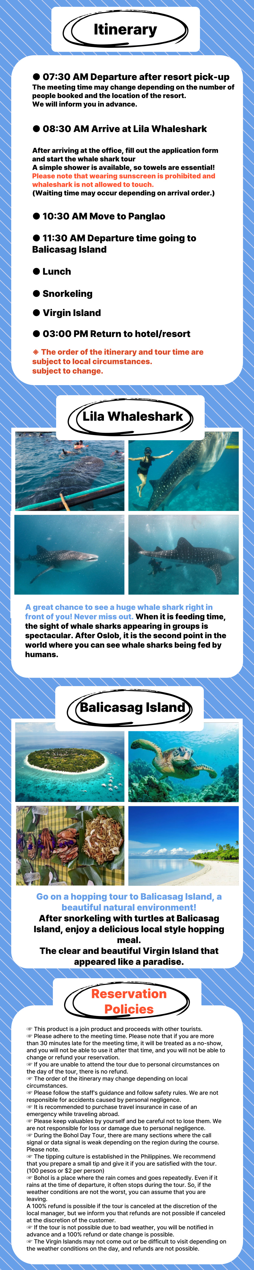 Whale Shark + Balicasag hopping