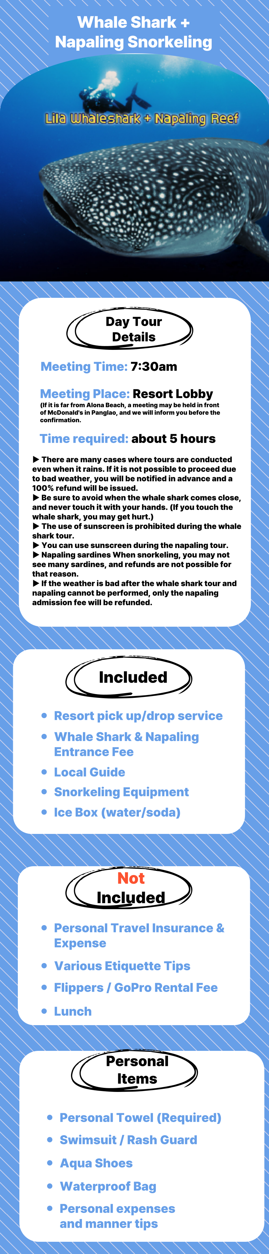 Whale Shark & Napaling