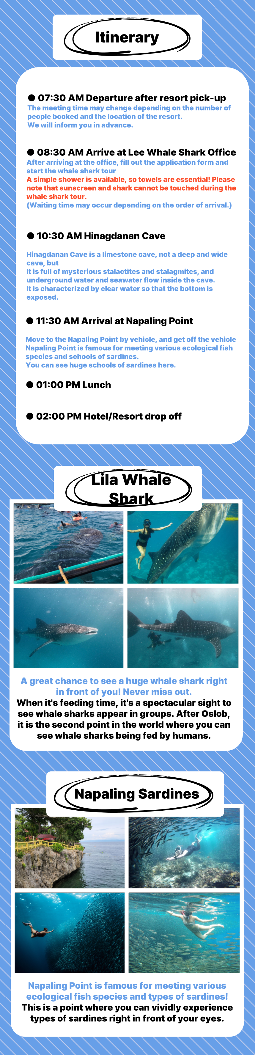 Whale Shark&Napaling&Hinagdanan Cave